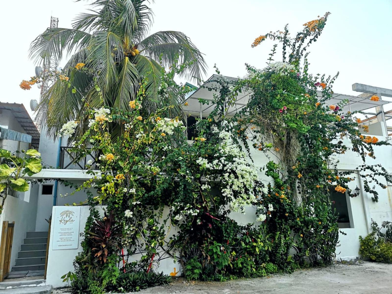 Keyla Inn Thulusdhoo Ngoại thất bức ảnh